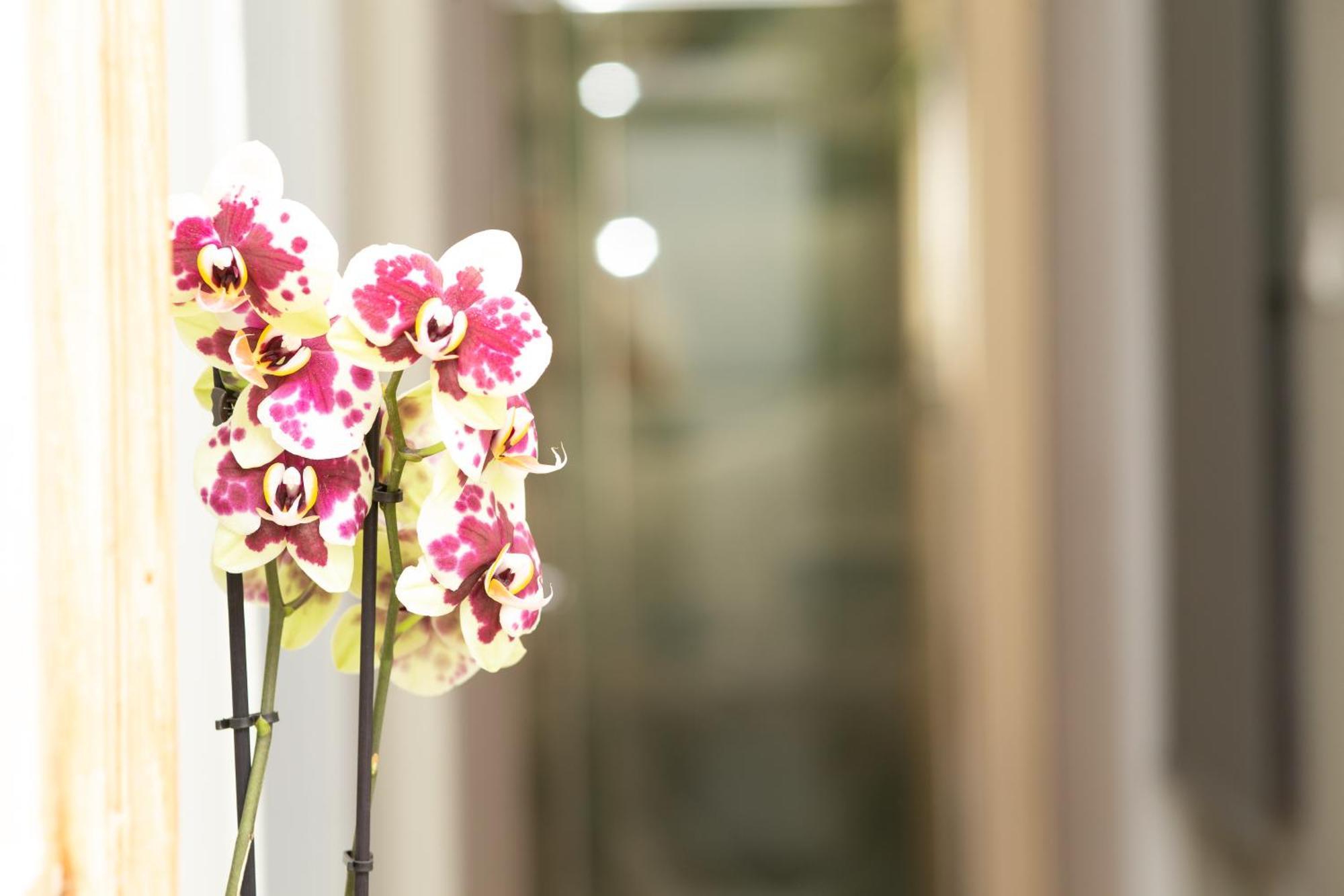 Prestige Penthouse - Breathtaking Parthenon Views In Plaka Apartment Atena Exterior foto